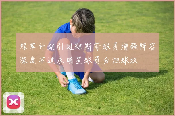 绿军计划引进琼斯等球员增强阵容深度不追求明星球员分担球权